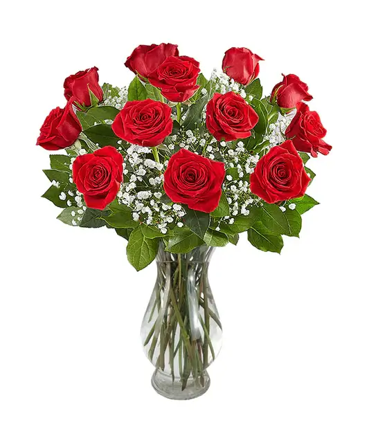 Long Stem Red Roses