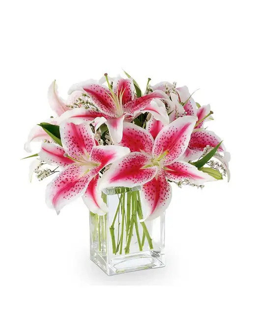 Wonderful Pink Stargazer Lilies In Glass Vase